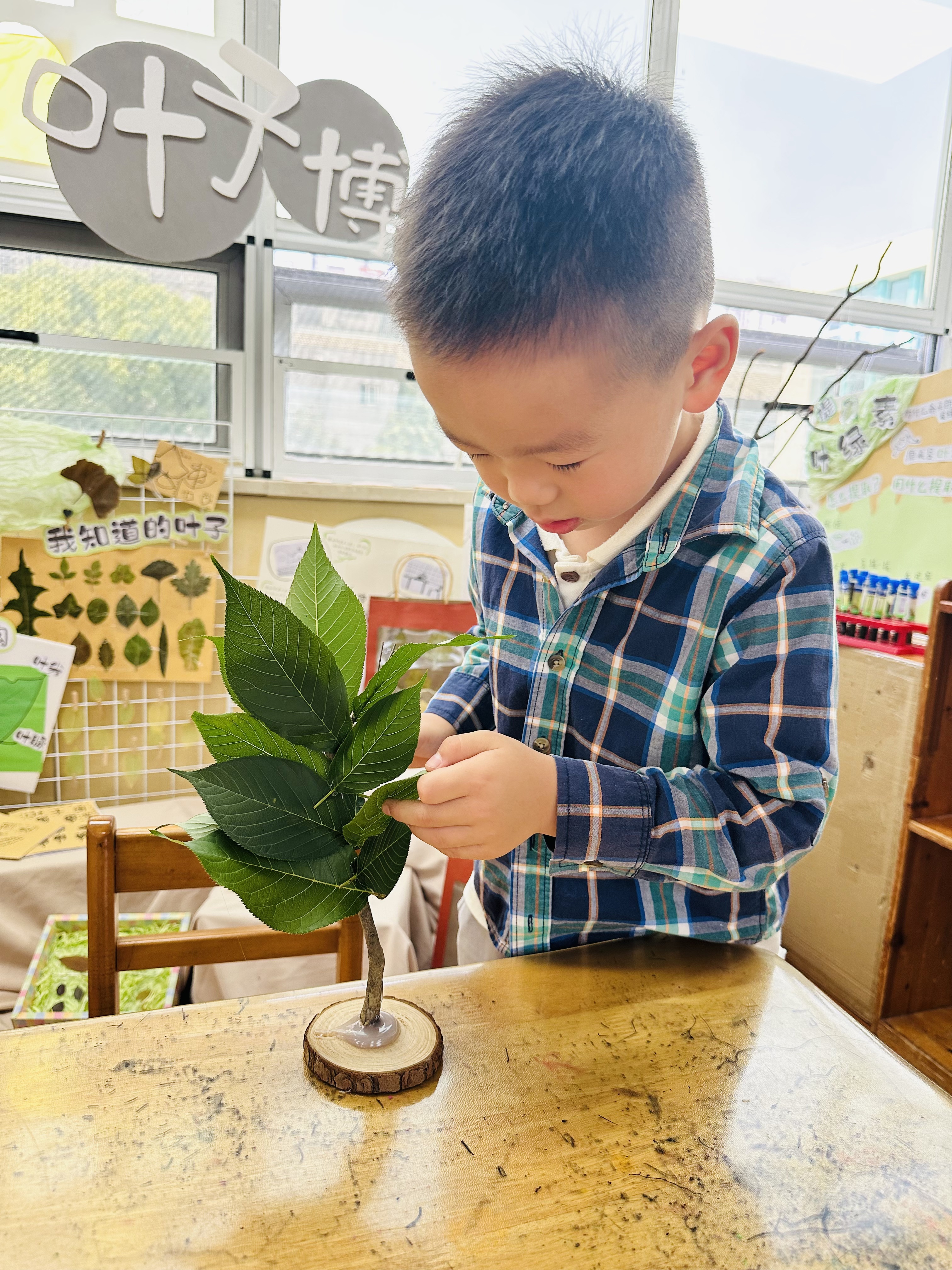 mmexport1748400558452