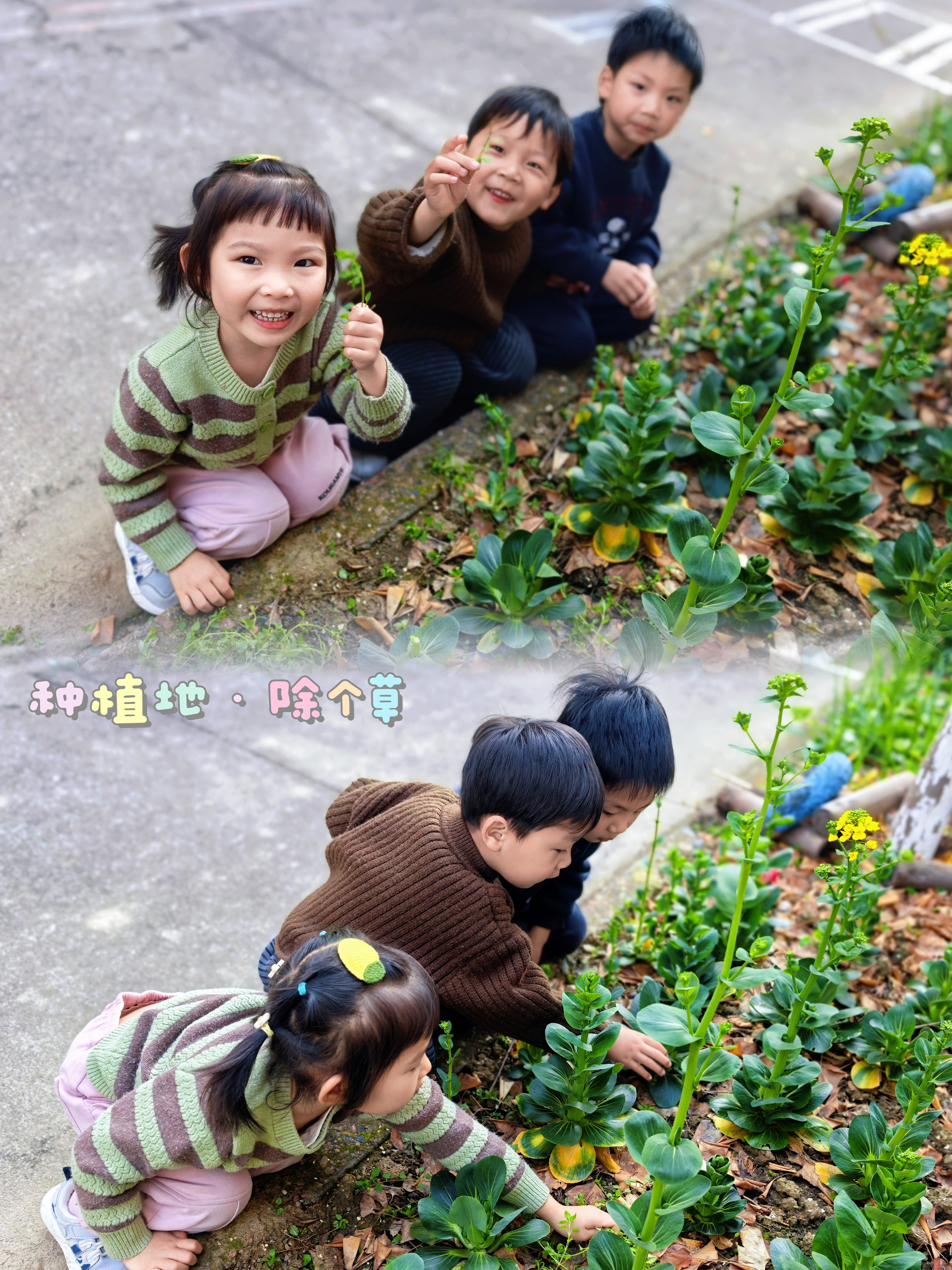 mmexport1773192255735